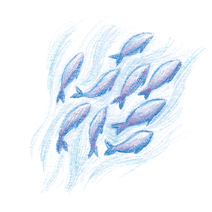 drawing of a group of fishes