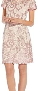 Adrianna Papell Women's Lace a Line Shift Dress