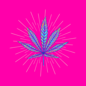 Hybrid