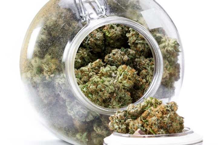 weed delivery Kitchener