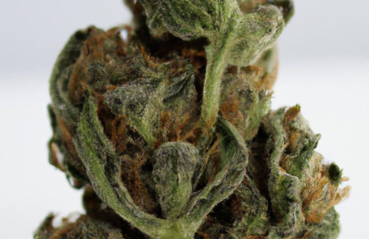 Calgary same-day weed delivery