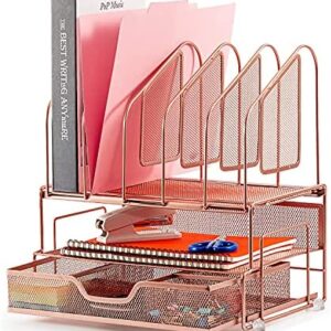 Beiz Rose Gold Desk Organizer with Storage Drawer, 2 Paper Tray & 5 Upright Slots File Folder Holders Desktop Organizers, Cute Desk Supplies for Women Office Home School