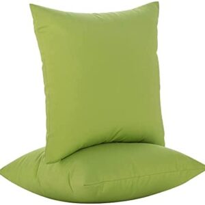 Pack of 2 Patio Furniture Pillows, Includes Pillow core and Pillowcase, Outdoor Indoor Decorative Throw Pillows with Inserts, Square Pillows for Bed, Couch, Sofa and Patio Furniture (Green)