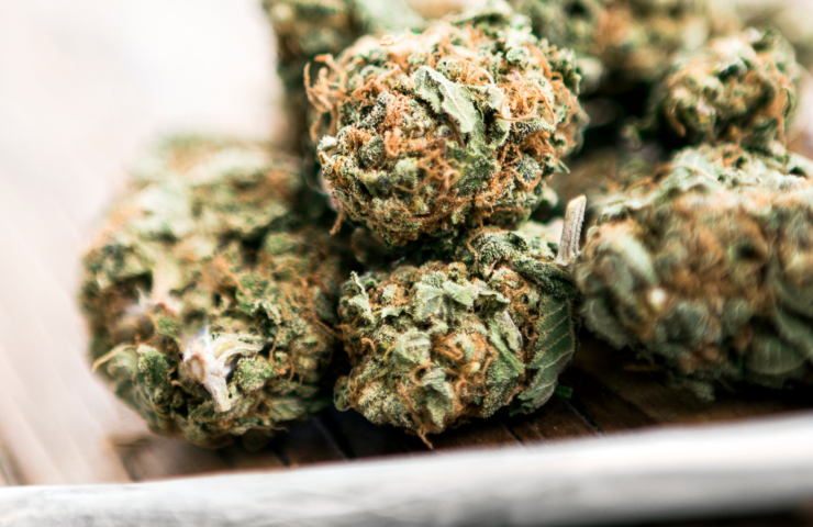 Langley same-day weed delivery